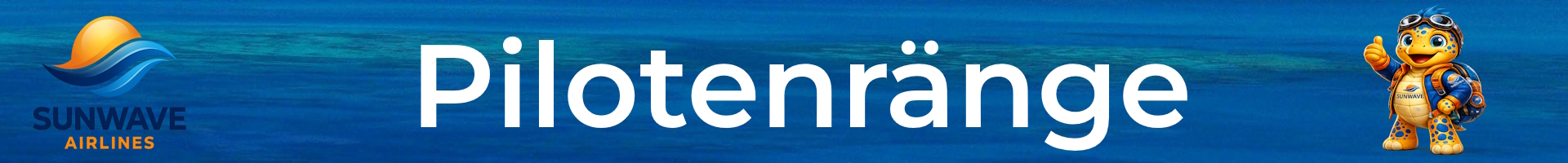 Banner / Image